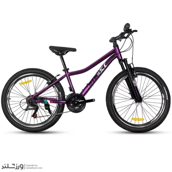 دوچرخه 29 اینتنس CV100 چمپیونز بنفش